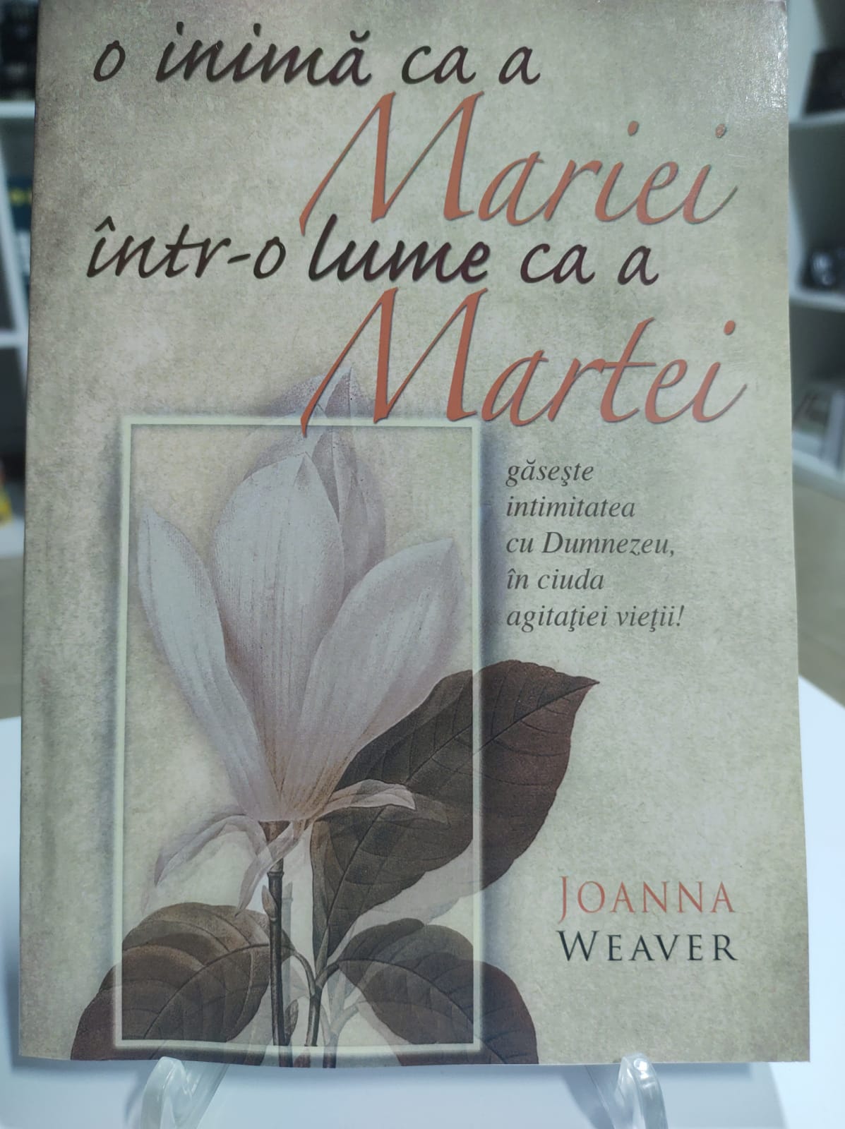 o inima ca a mariei intr o lume ca a martei